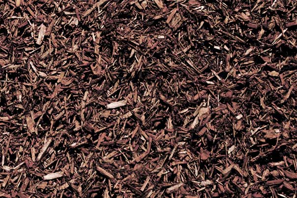 Hemlock Mulch