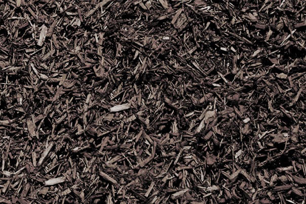 Spruce Blend Mulch