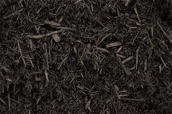 Black Mulch