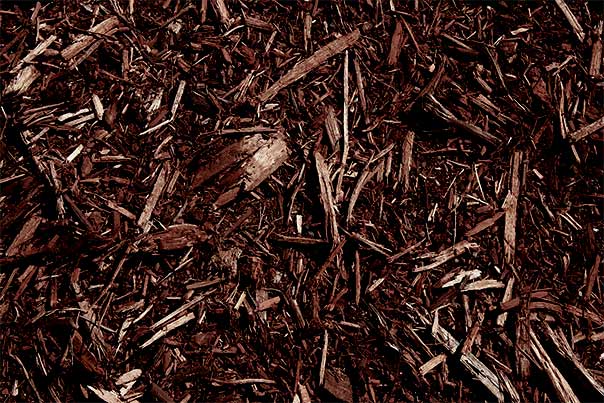 Brown Mulch