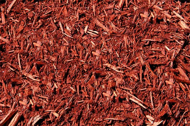 Red Mulch