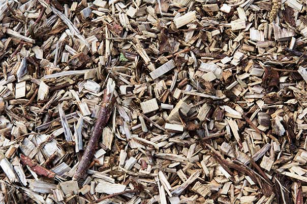 Wood Chips